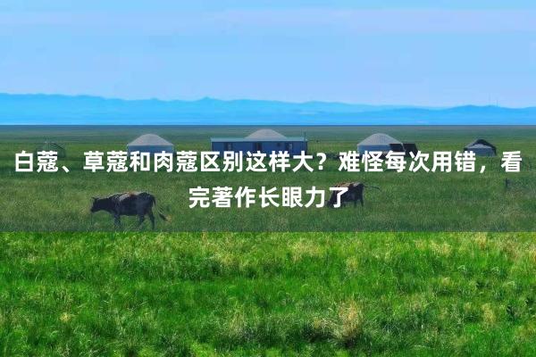 白蔻、草蔻和肉蔻区别这样大？难怪每次用错，看完著作长眼力了