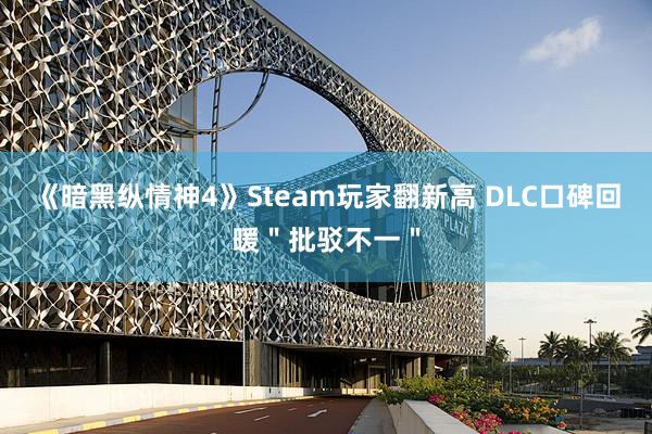 《暗黑纵情神4》Steam玩家翻新高 DLC口碑回暖＂批驳不一＂