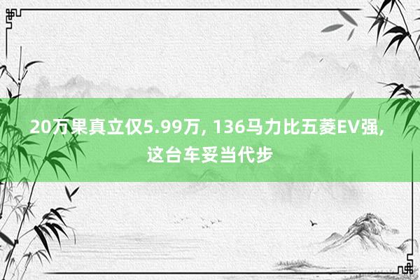 20万果真立仅5.99万, 136马力比五菱EV强, 这台车妥当代步