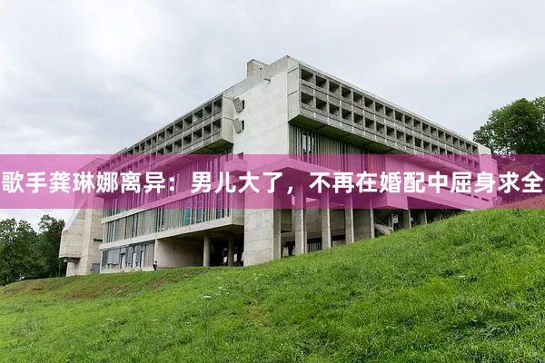 歌手龚琳娜离异：男儿大了，不再在婚配中屈身求全