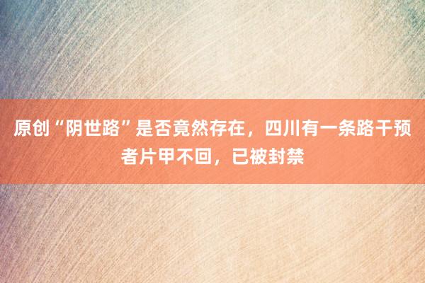 原创“阴世路”是否竟然存在，四川有一条路干预者片甲不回，已被封禁