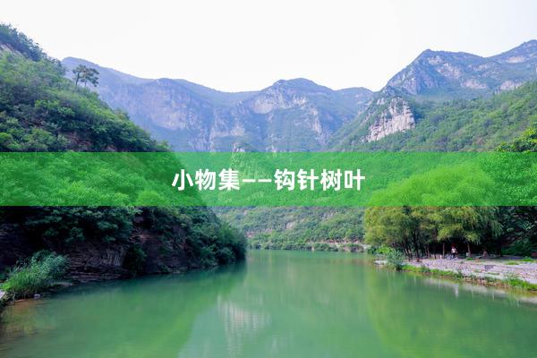 小物集——钩针树叶