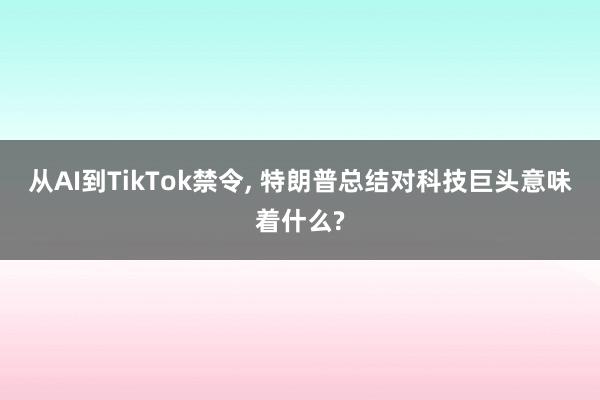 从AI到TikTok禁令, 特朗普总结对科技巨头意味着什么?